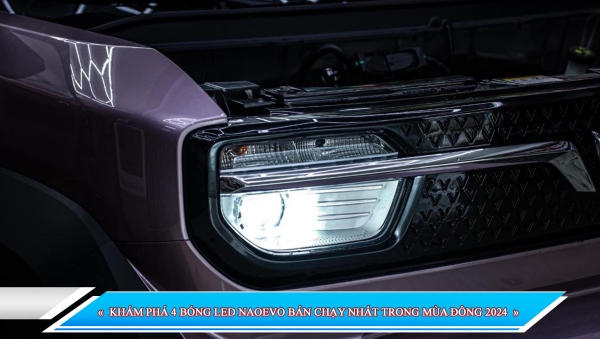 KHÁM PHÁ 4 BÓNG LED NAOEVO BÁN CHẠY NHẤT TRONG MÙA ĐÔNG 2024