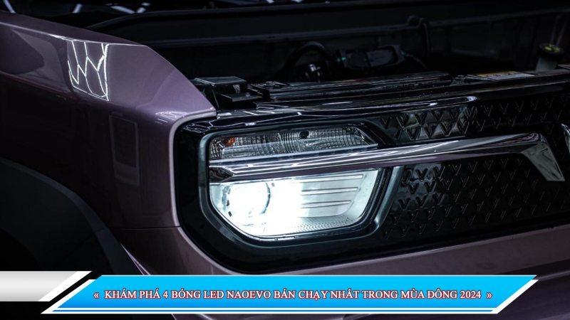 KHÁM PHÁ 4 BÓNG LED NAOEVO BÁN CHẠY NHẤT TRONG MÙA ĐÔNG 2024